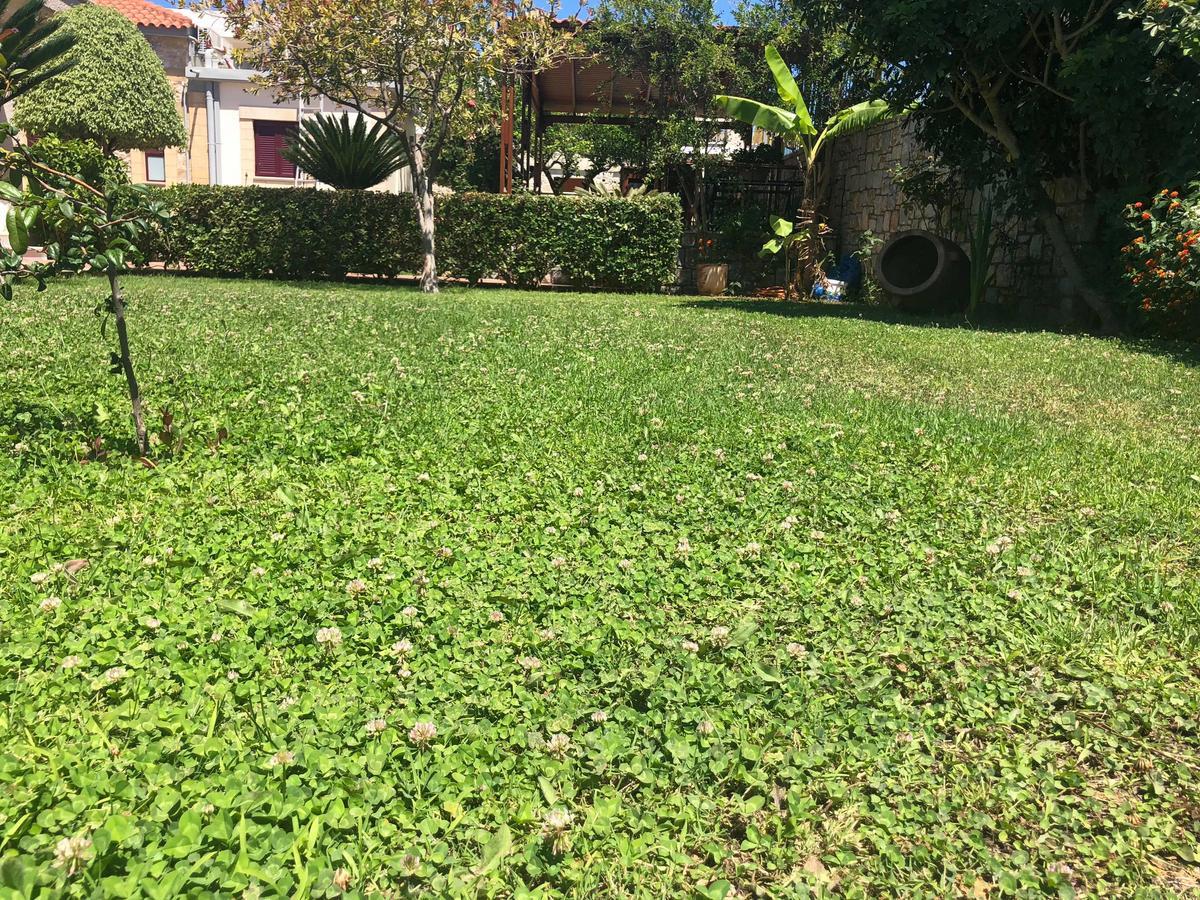 Private Sapphiros Villa كيساموس المظهر الخارجي الصورة